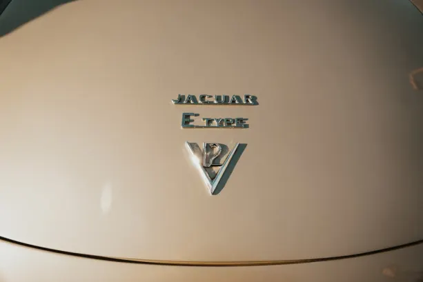 Untold Casino Android/iOS aplikacija